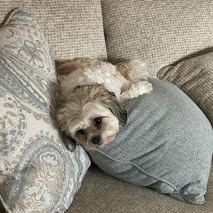 Meet your Posher, Kim